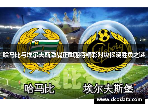 哈马比与埃尔夫斯激战正酣期待精彩对决揭晓胜负之谜