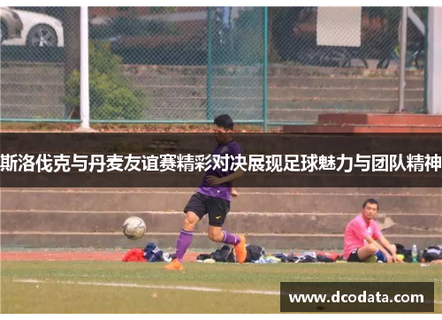 斯洛伐克与丹麦友谊赛精彩对决展现足球魅力与团队精神