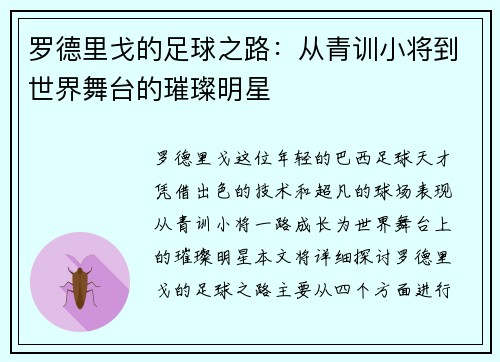 罗德里戈的足球之路：从青训小将到世界舞台的璀璨明星